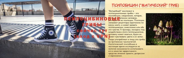 соль ск Аркадак
