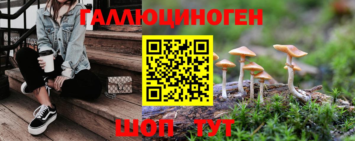 Старый Оскол  Псилоцибиновые грибы мухоморы  Вход с VPN 